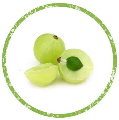 Amla